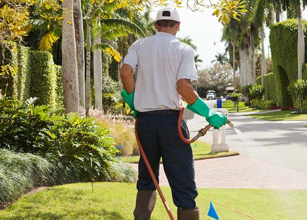 About East Glastonbury CT Pest Control